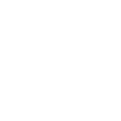 Levier