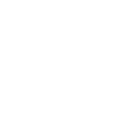 BirGo